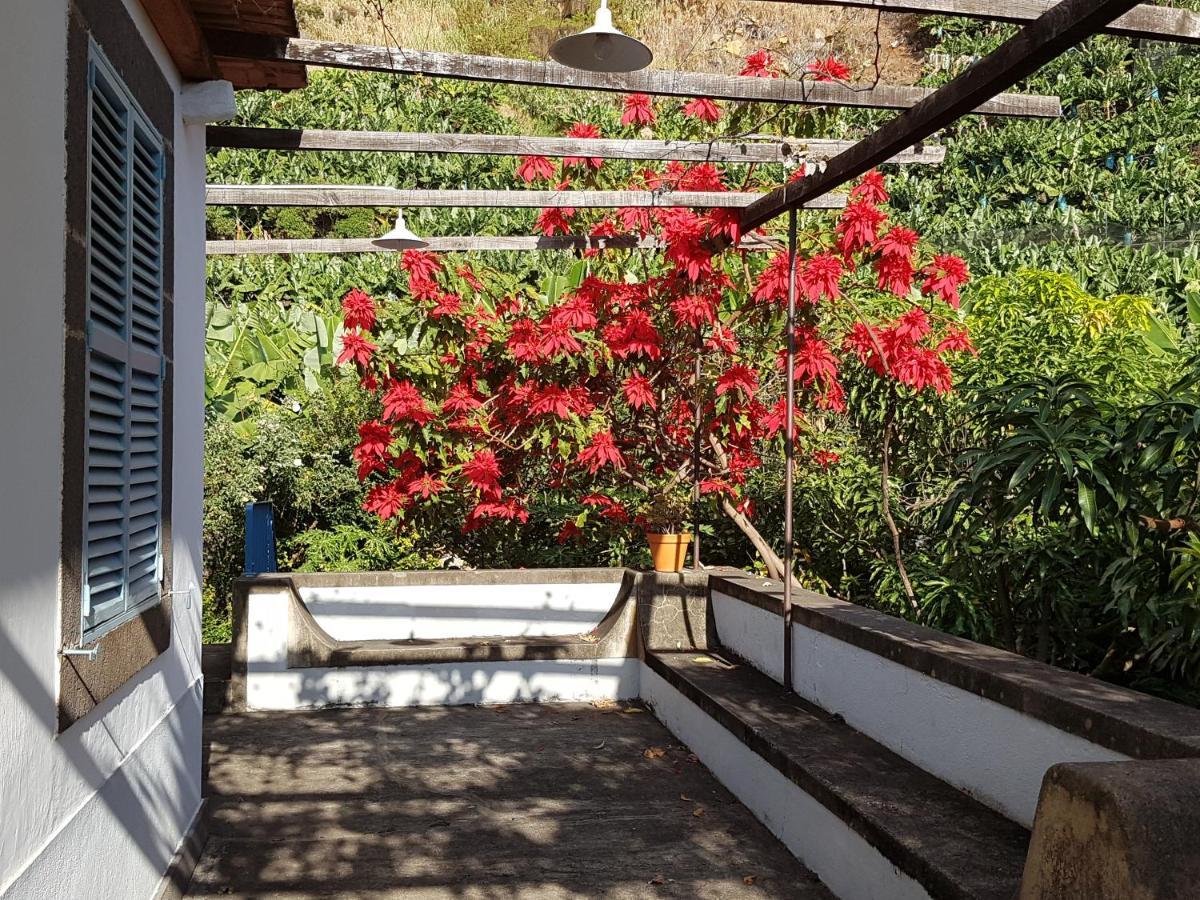 Casa Da Madalena Do Mar Villa ภายนอก รูปภาพ