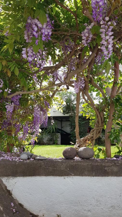 Casa Da Madalena Do Mar Villa ภายนอก รูปภาพ