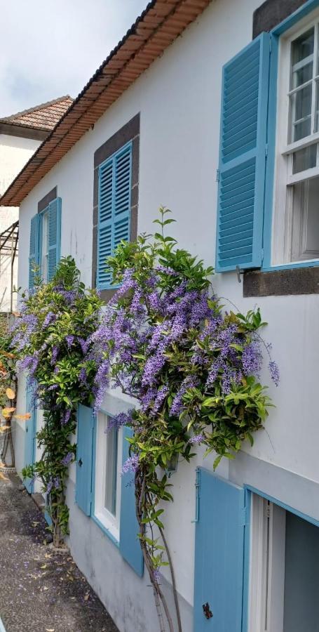 Casa Da Madalena Do Mar Villa ภายนอก รูปภาพ