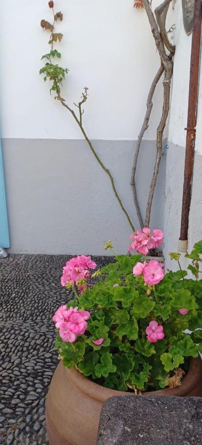 Casa Da Madalena Do Mar Villa ภายนอก รูปภาพ