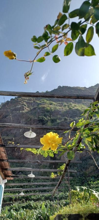 Casa Da Madalena Do Mar Villa ภายนอก รูปภาพ