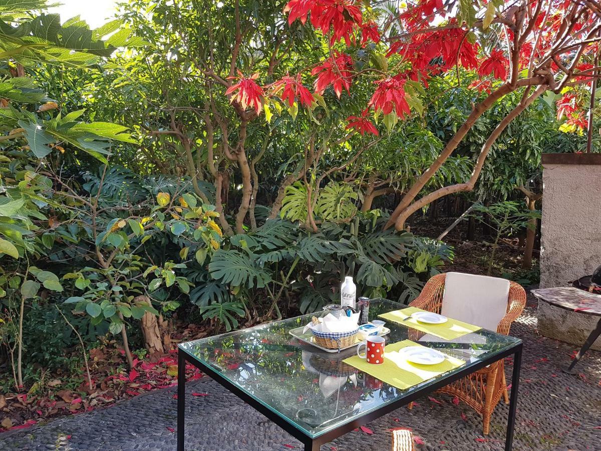 Casa Da Madalena Do Mar Villa ภายนอก รูปภาพ
